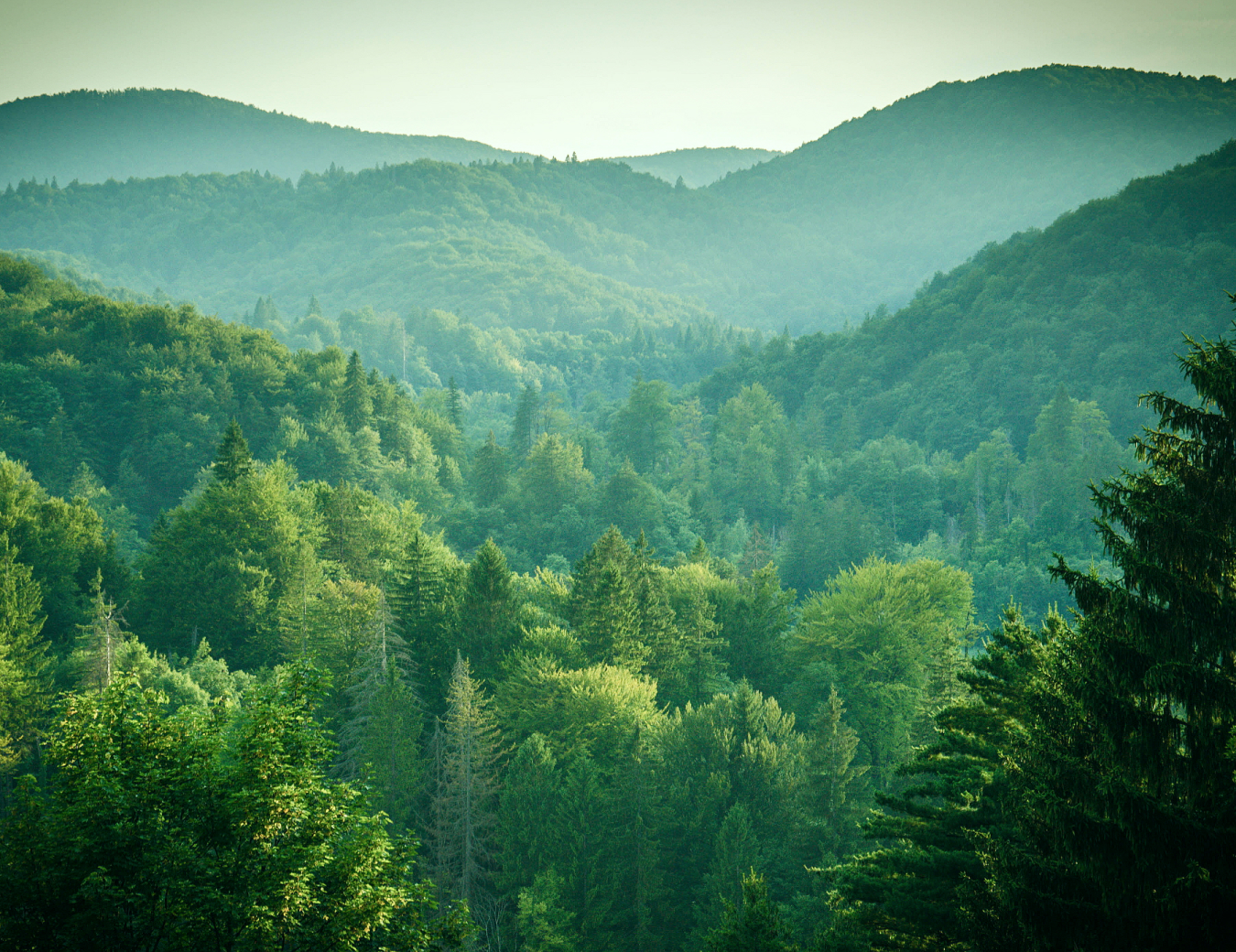Environment